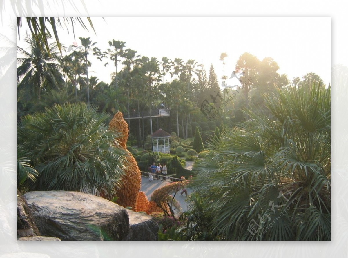 泰国园林图片