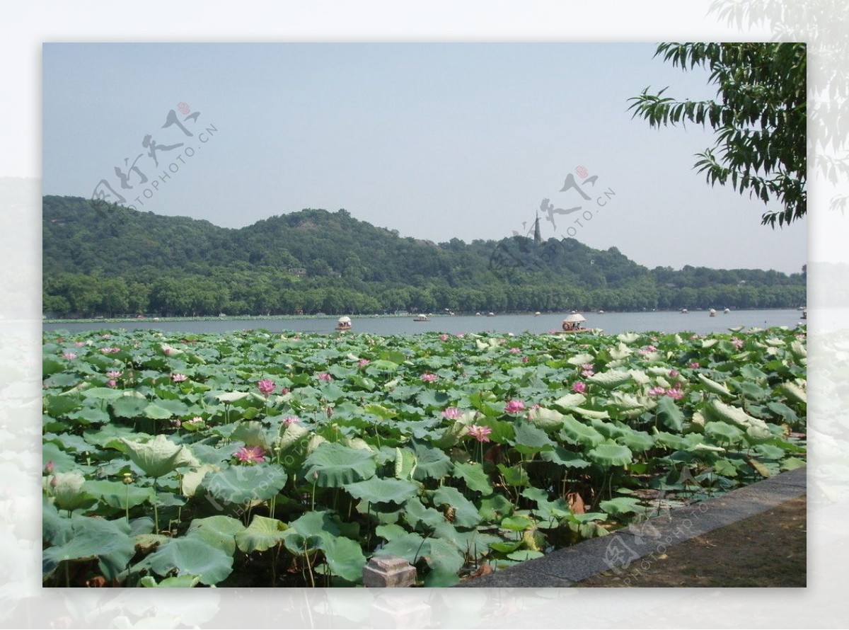浙江杭州西湖风景图片