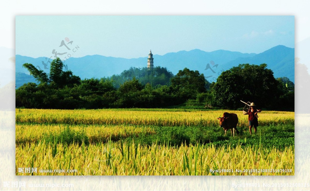 桂岭风景图片