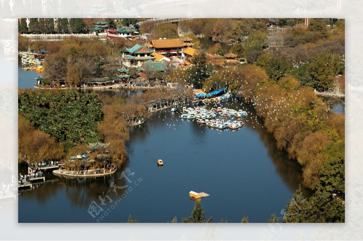 翠湖風光图片