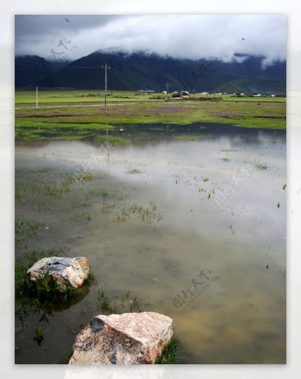 納帕海草原图片