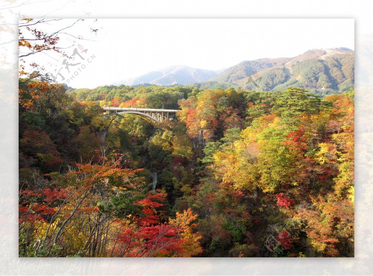 鳴子峽紅葉图片