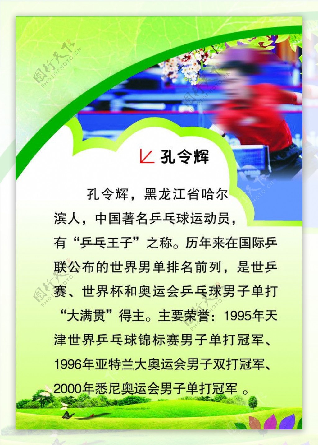 乒乓球冠军简介展板图片