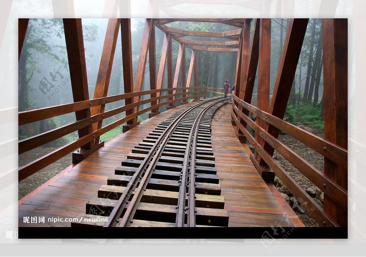 阿里山神木鐵道图片