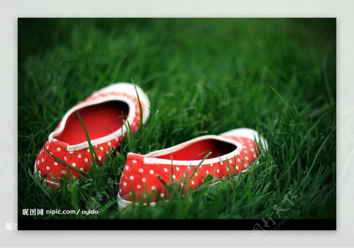 绿草中的小花鞋图片