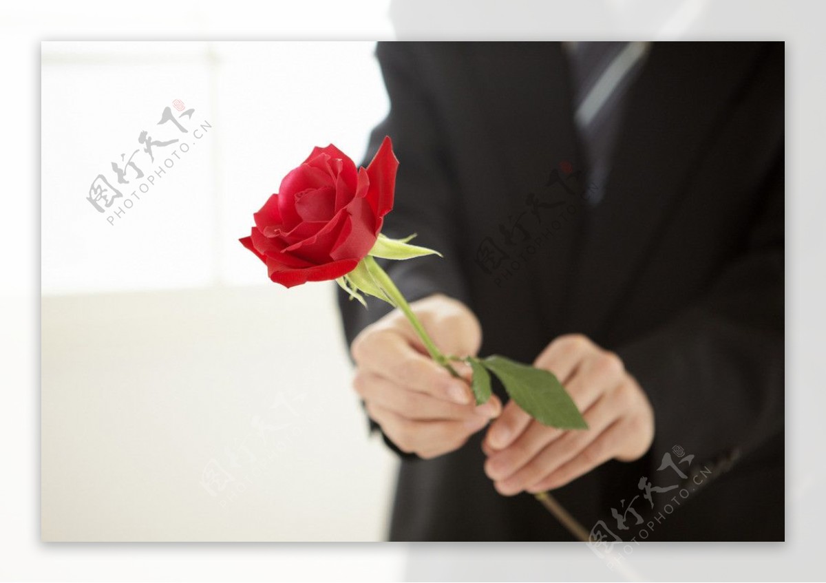 男士送玫瑰花主题高清图片