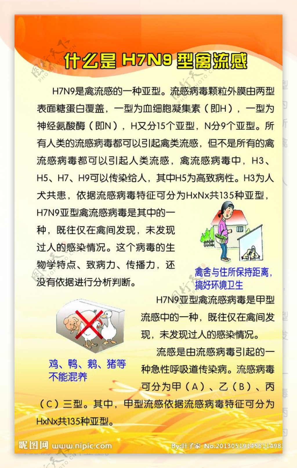 H7N9禽流感展板图片