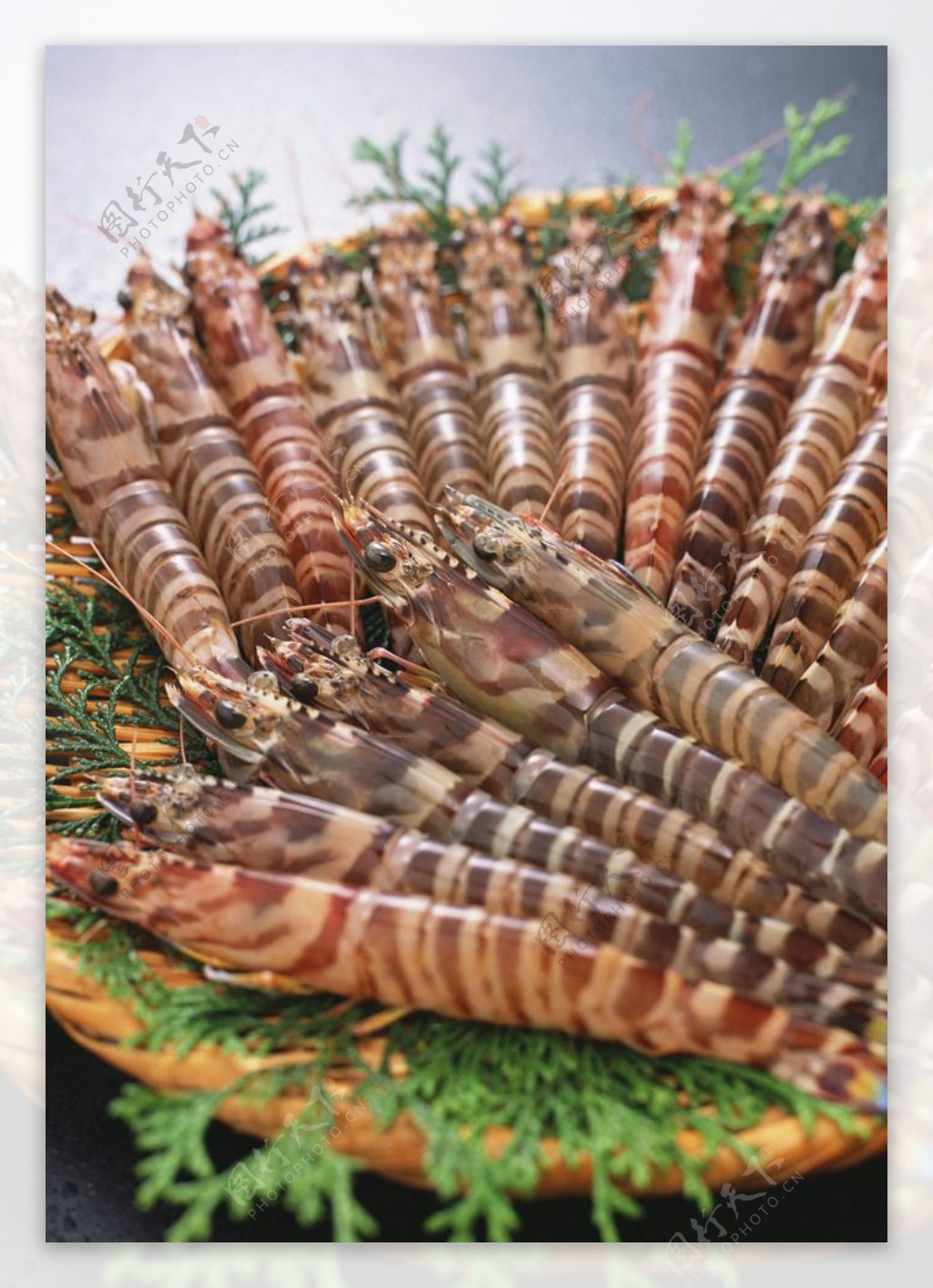 大虾海鲜高清摄影图片