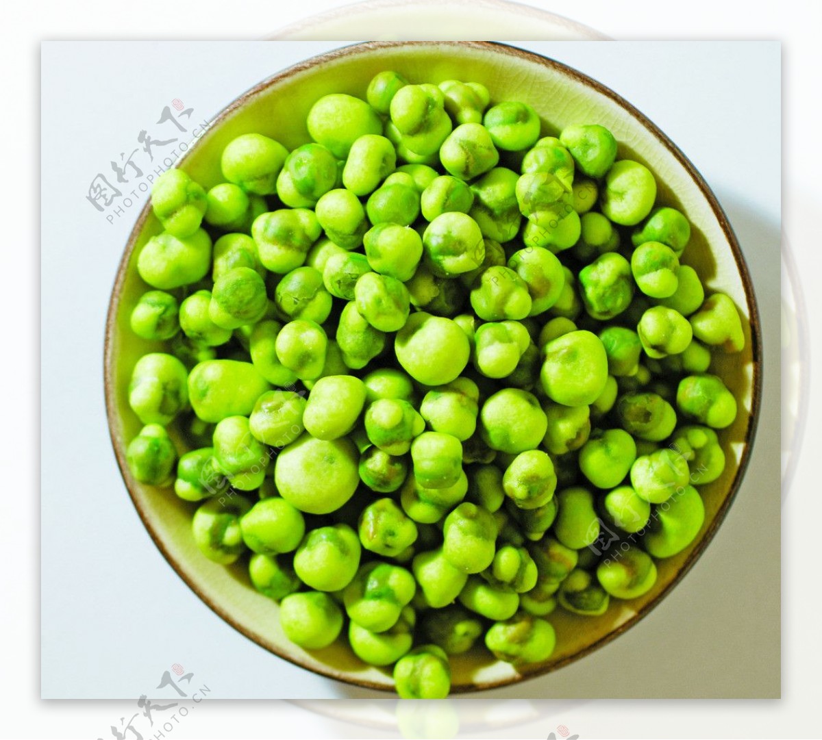 綠豆子图片