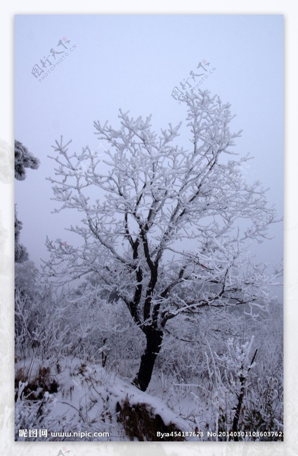 渑池韶山雪韶山雪图片