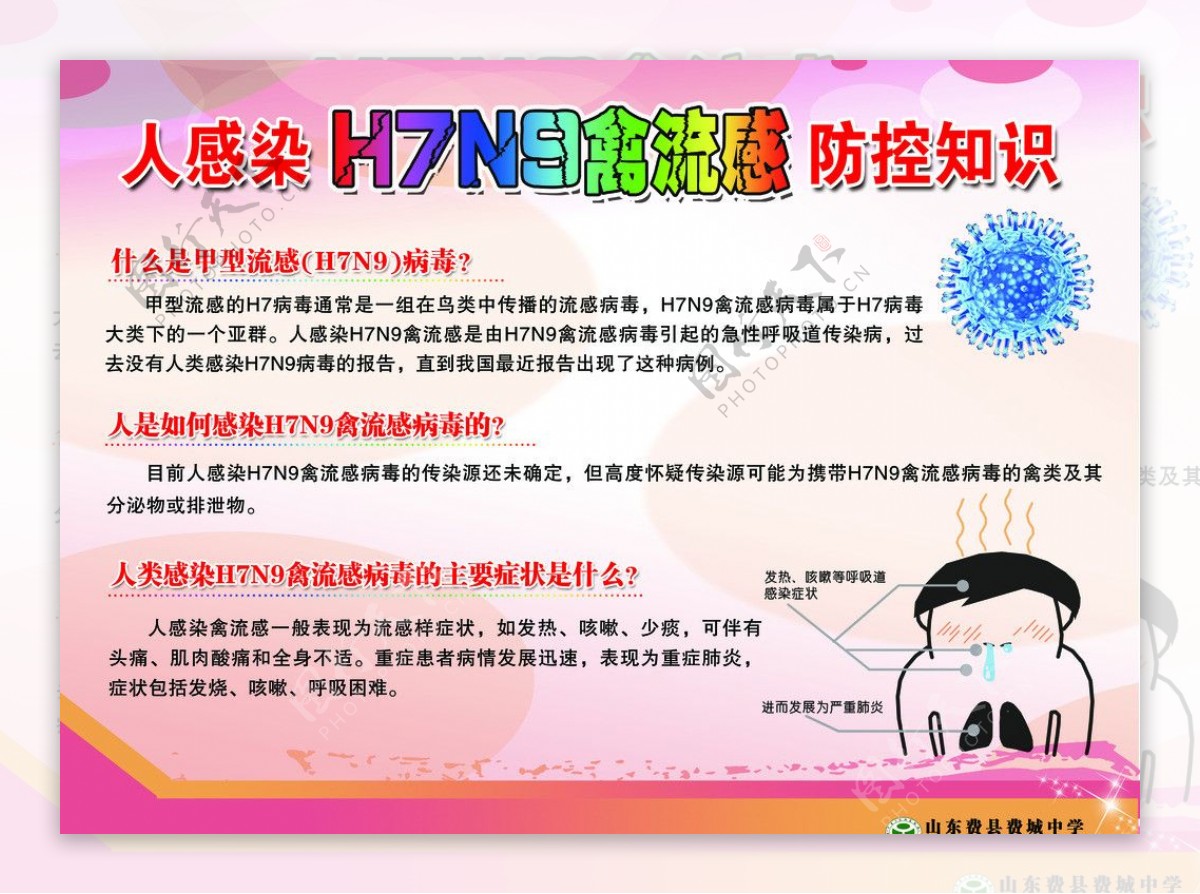 禽流感H7N9图片