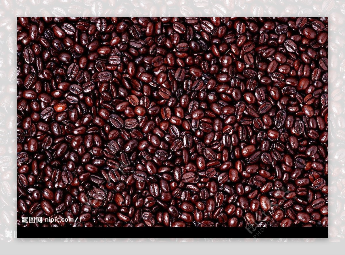 咖啡豆材料纹理图片