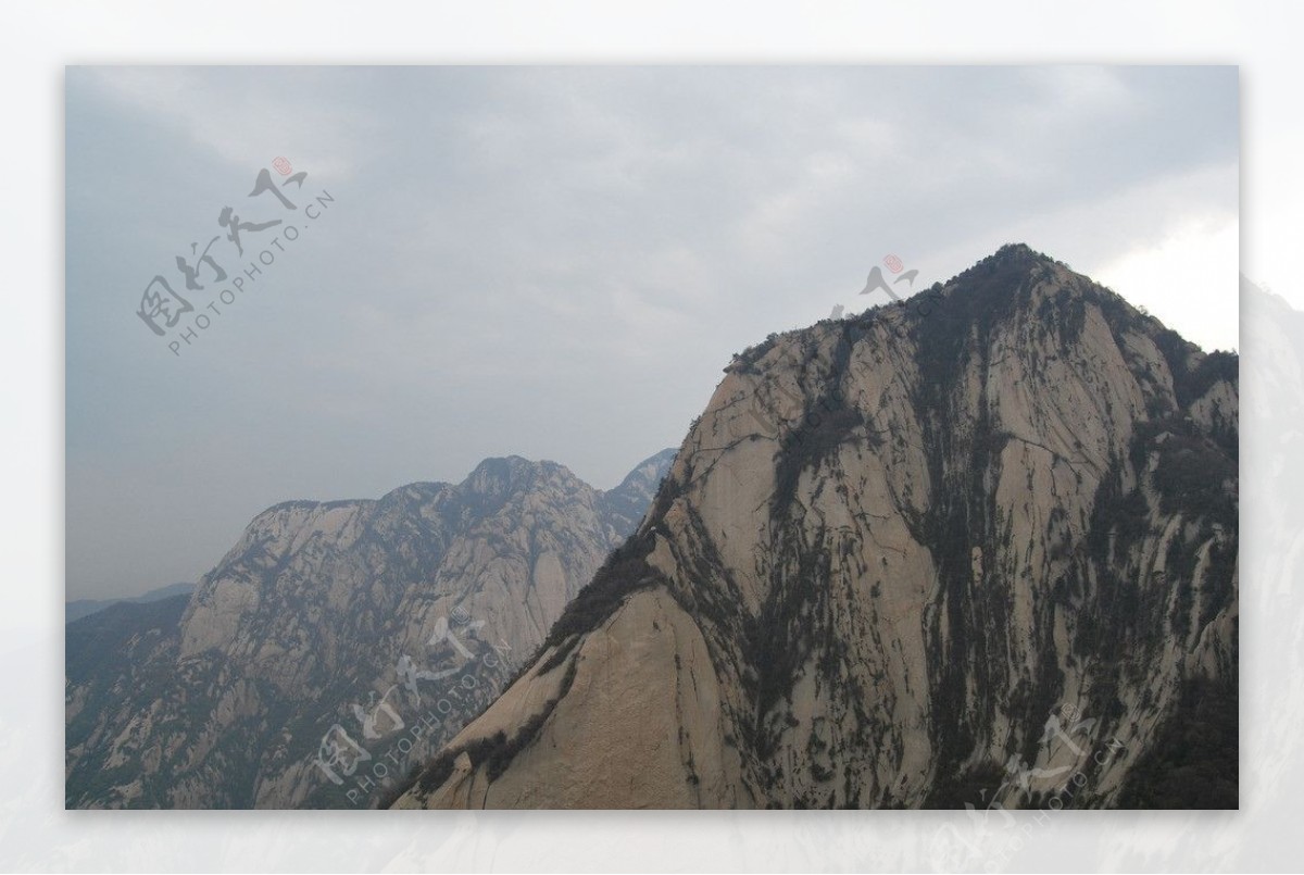 华山树木山水图片