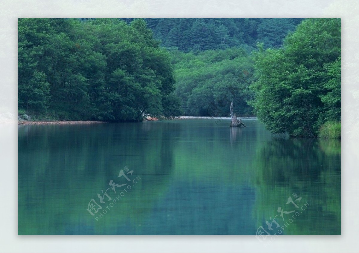 绿树湖泊图片