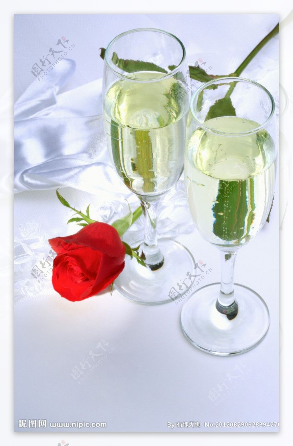 香槟玫瑰图片