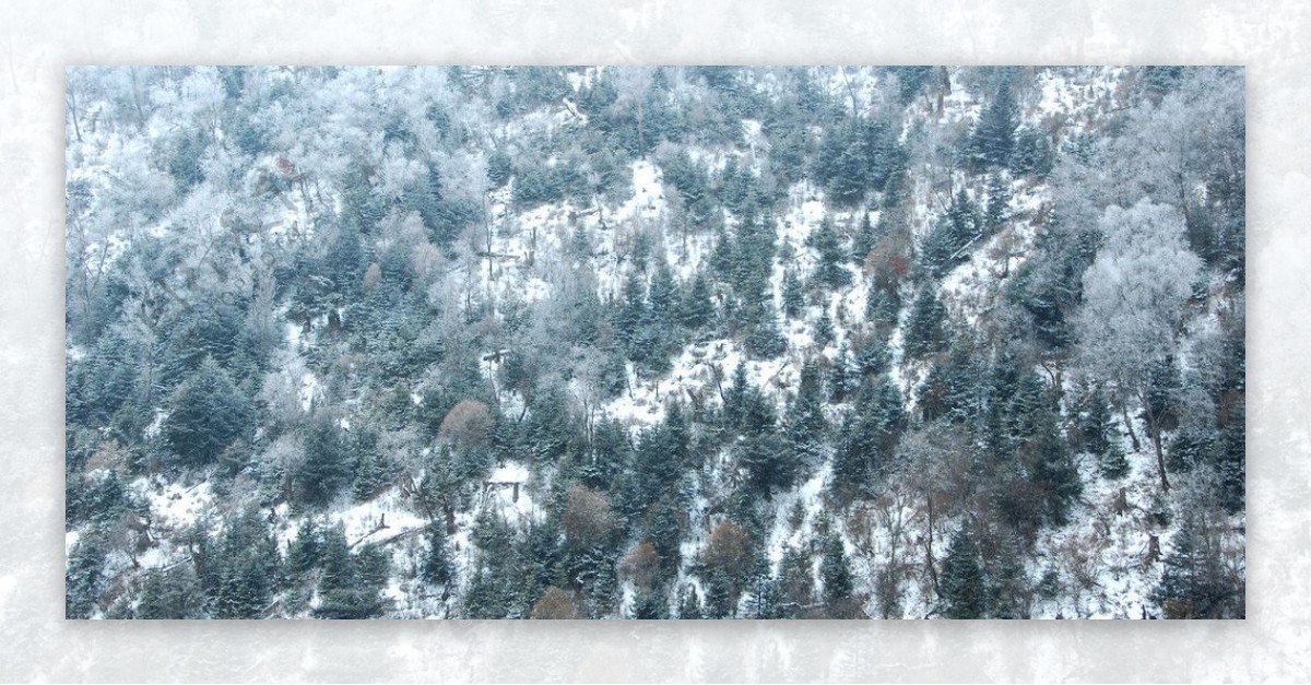 刘乡山区雪景图片