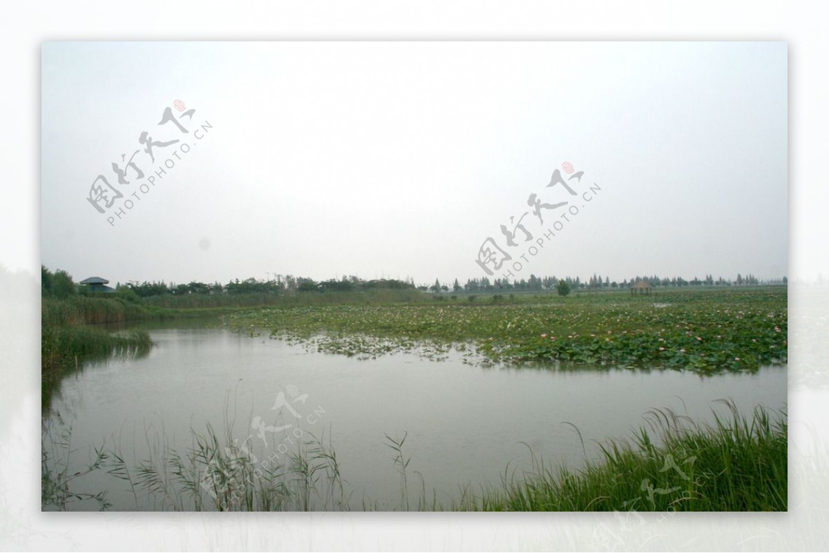 洪泽湖图片