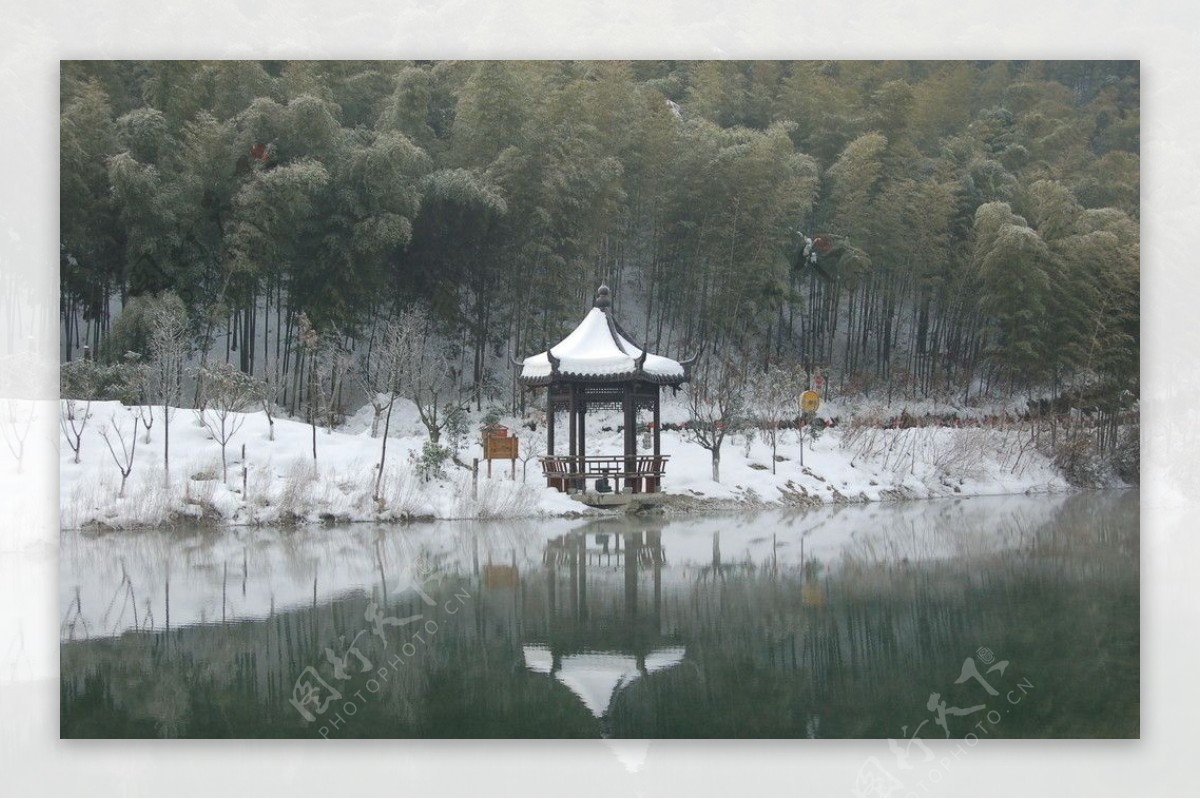 竹海雪景图片