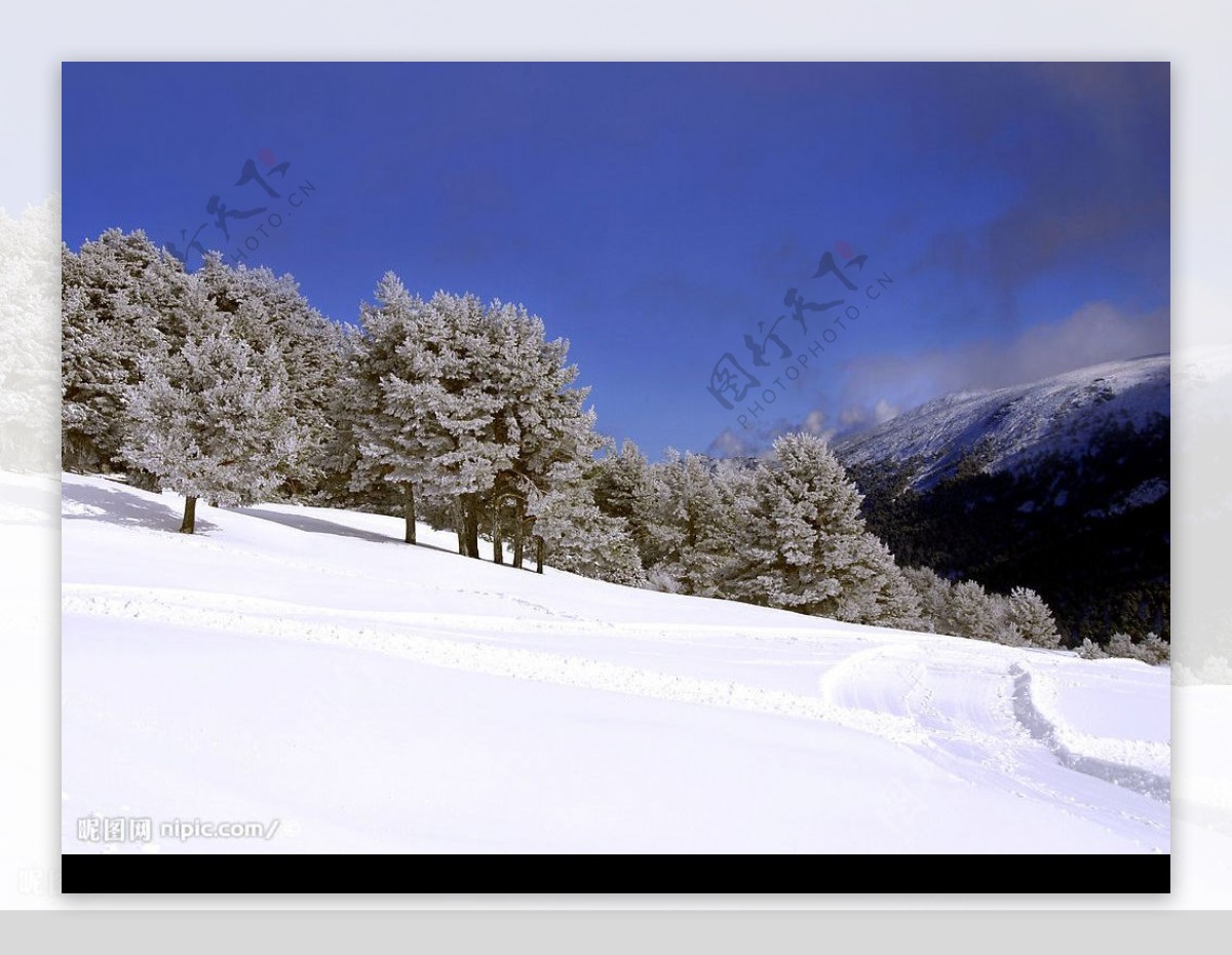 白色冬季美丽雪景图片