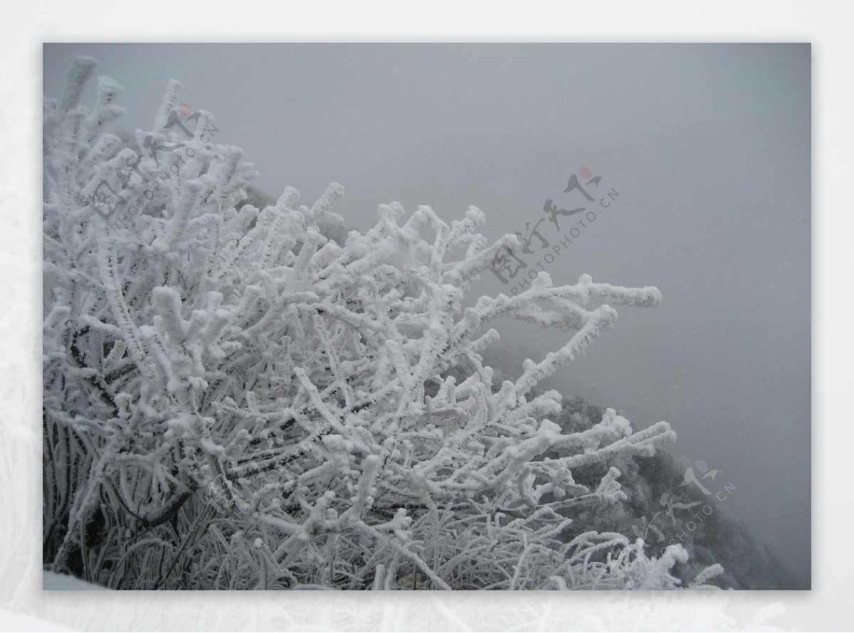 峨眉山雪景图片