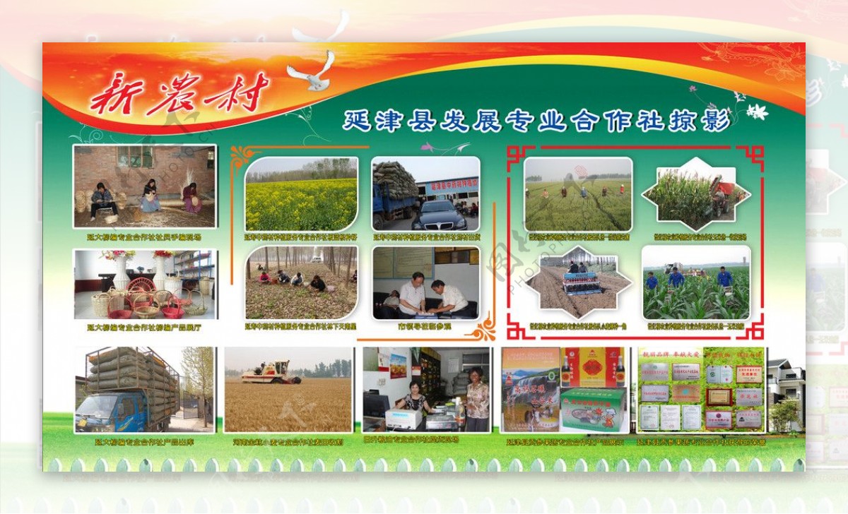 新农村发展专业合作社掠影展板图片