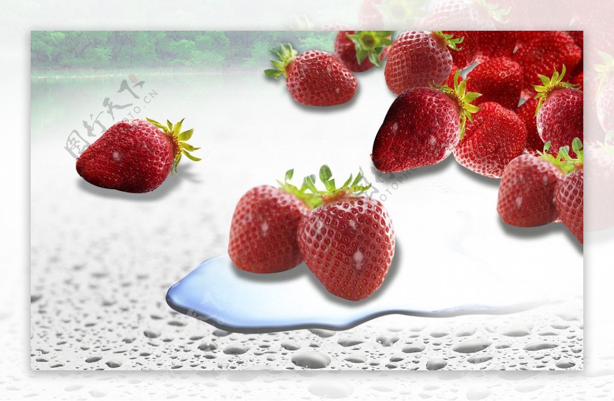 水灵灵的草莓图片