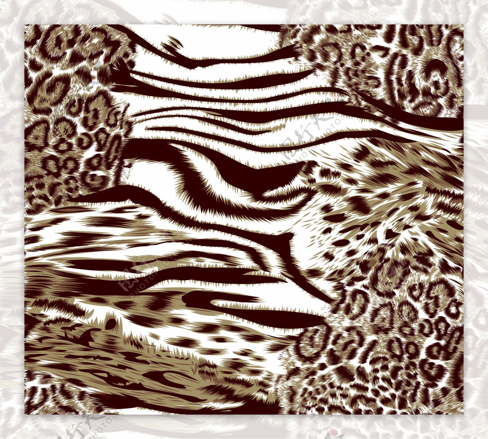 老虎豹纹图片