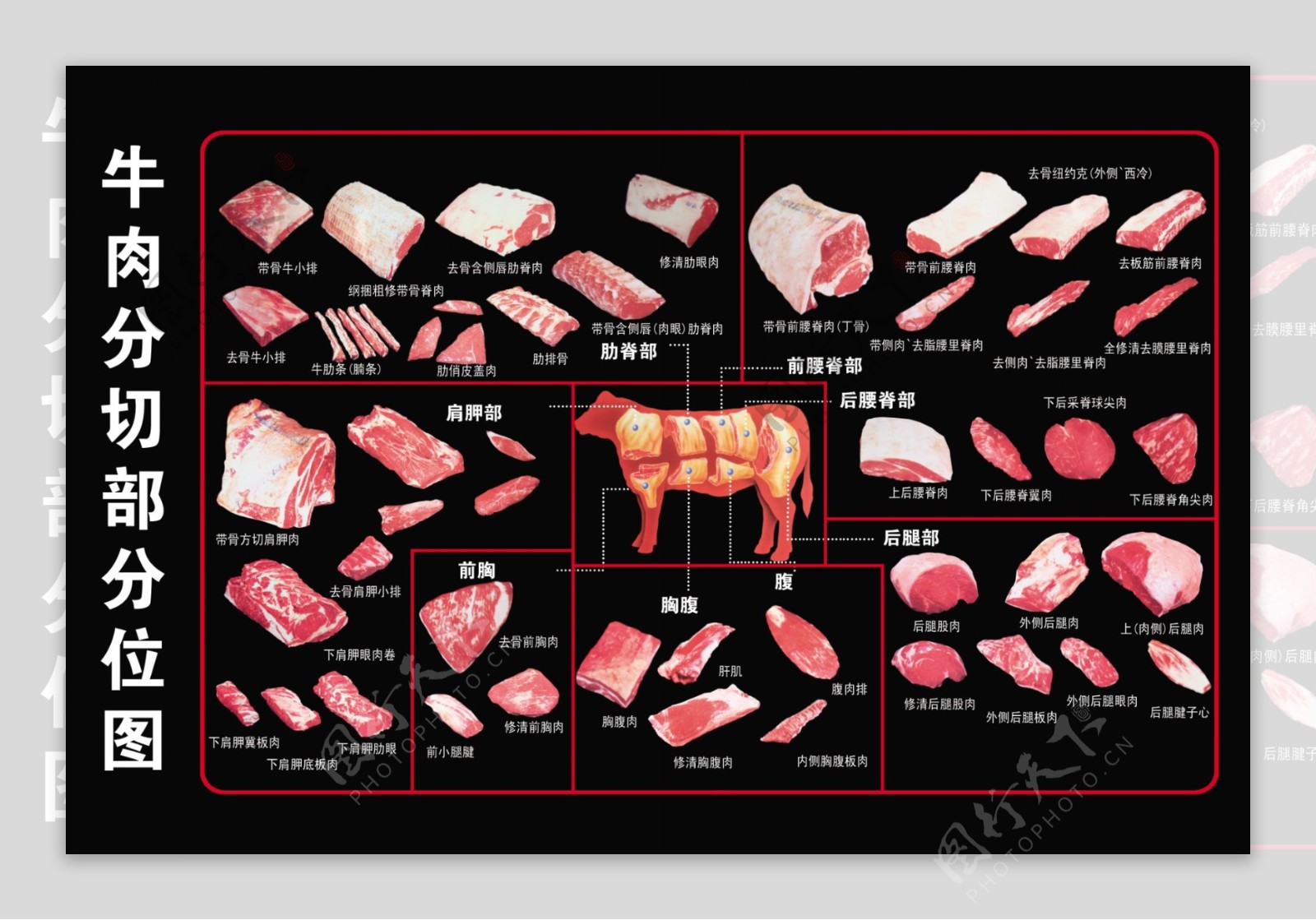 牛肉分割图图片