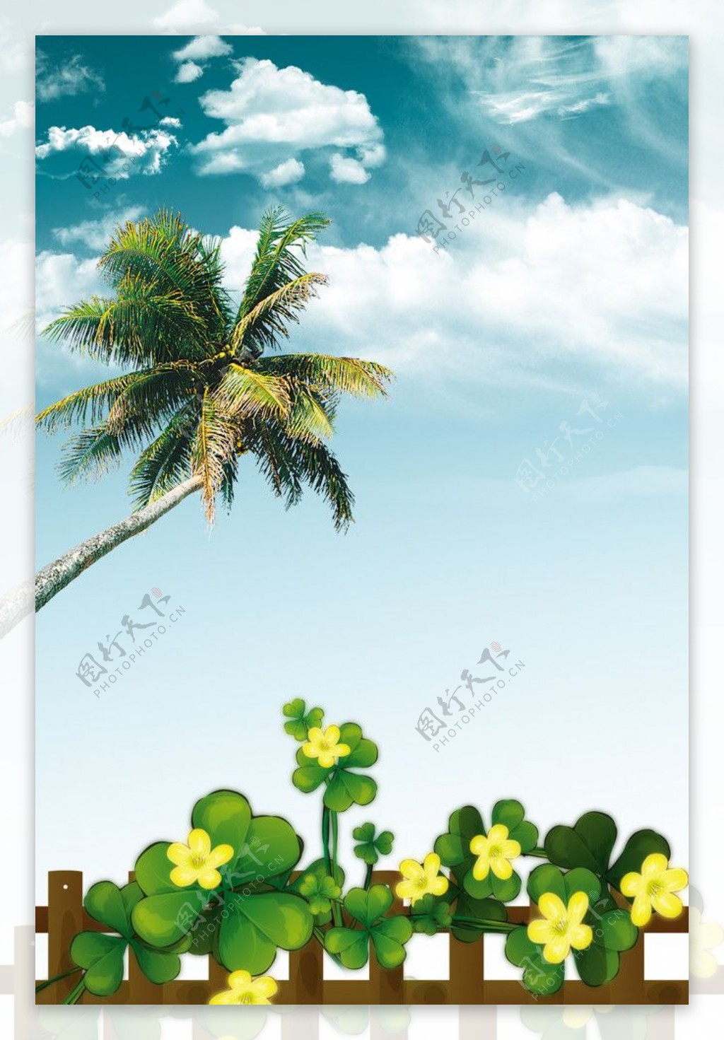 白云椰子树图片