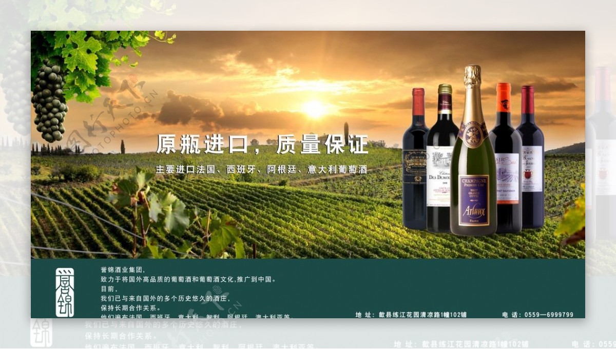 葡萄酒背景板图片