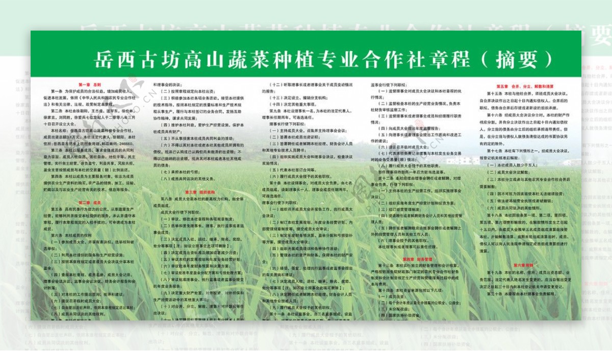 高山蔬菜种植专业合作社章程图片