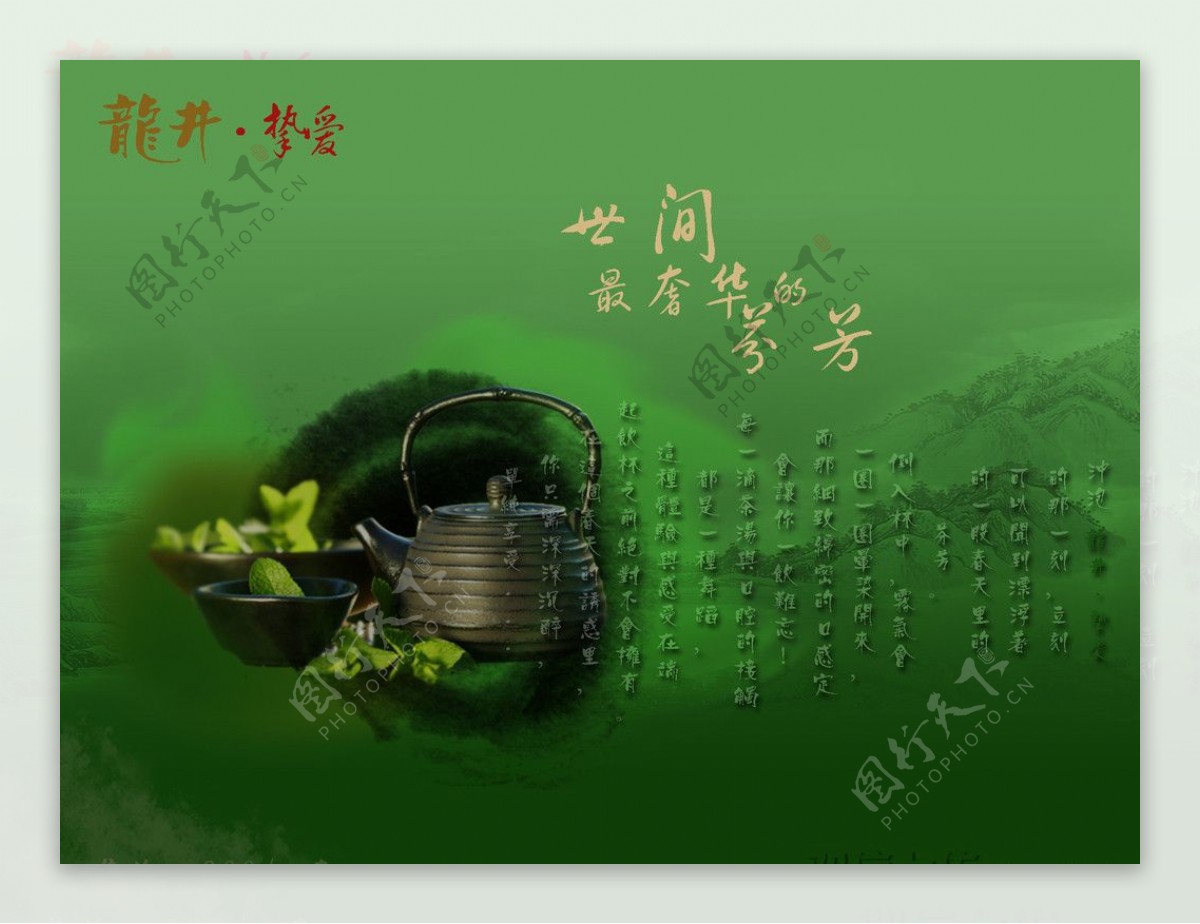 绿茶183龙井图片