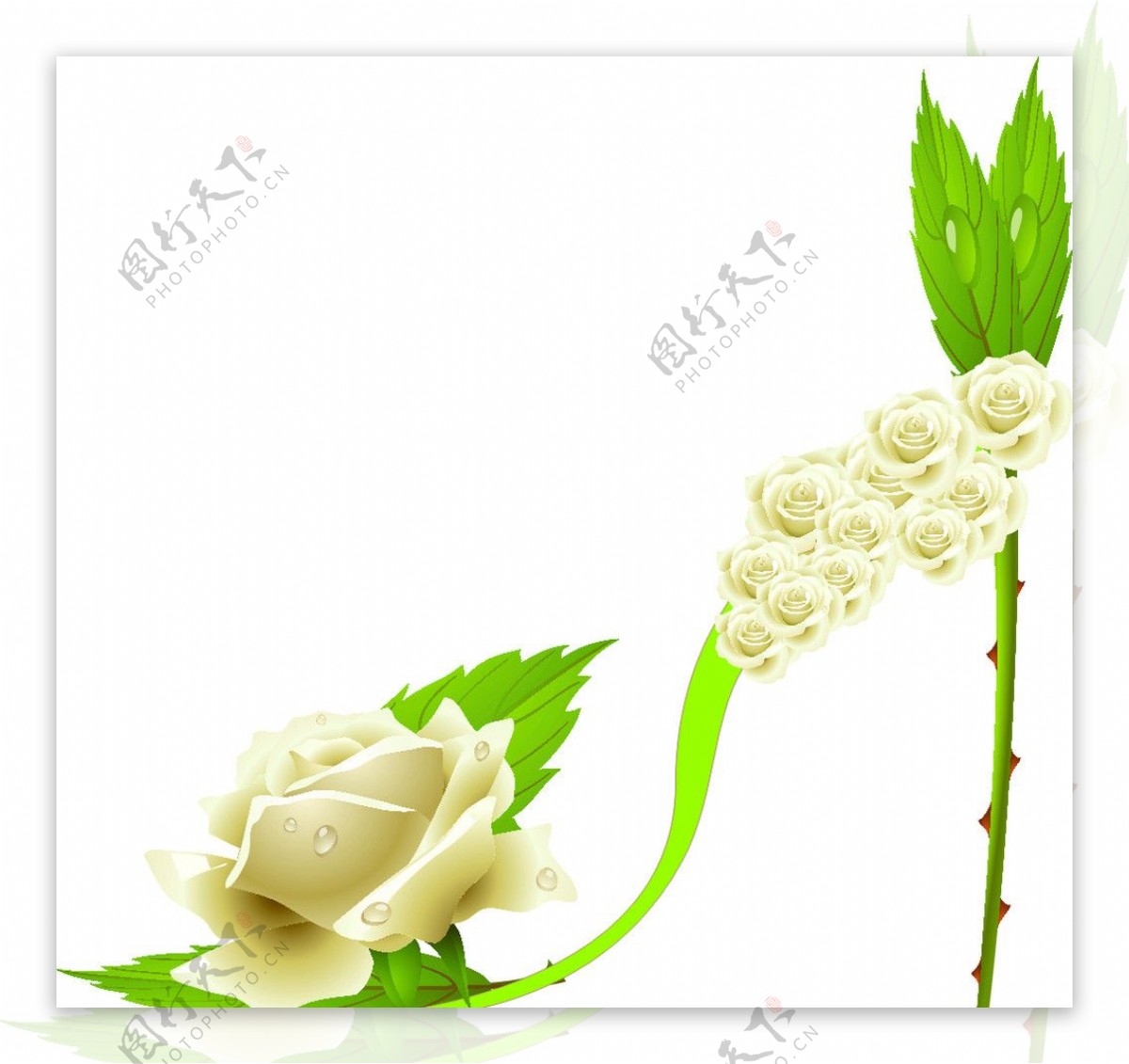白色玫瑰高跟鞋图片