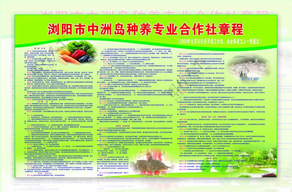 中洲岛种养专业合作社章程图片