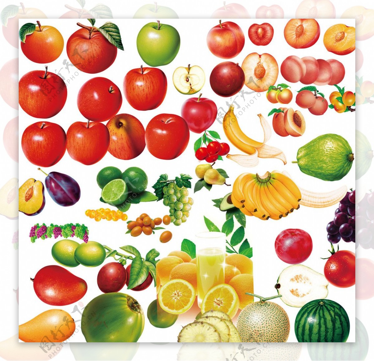 水果及各种水果图片