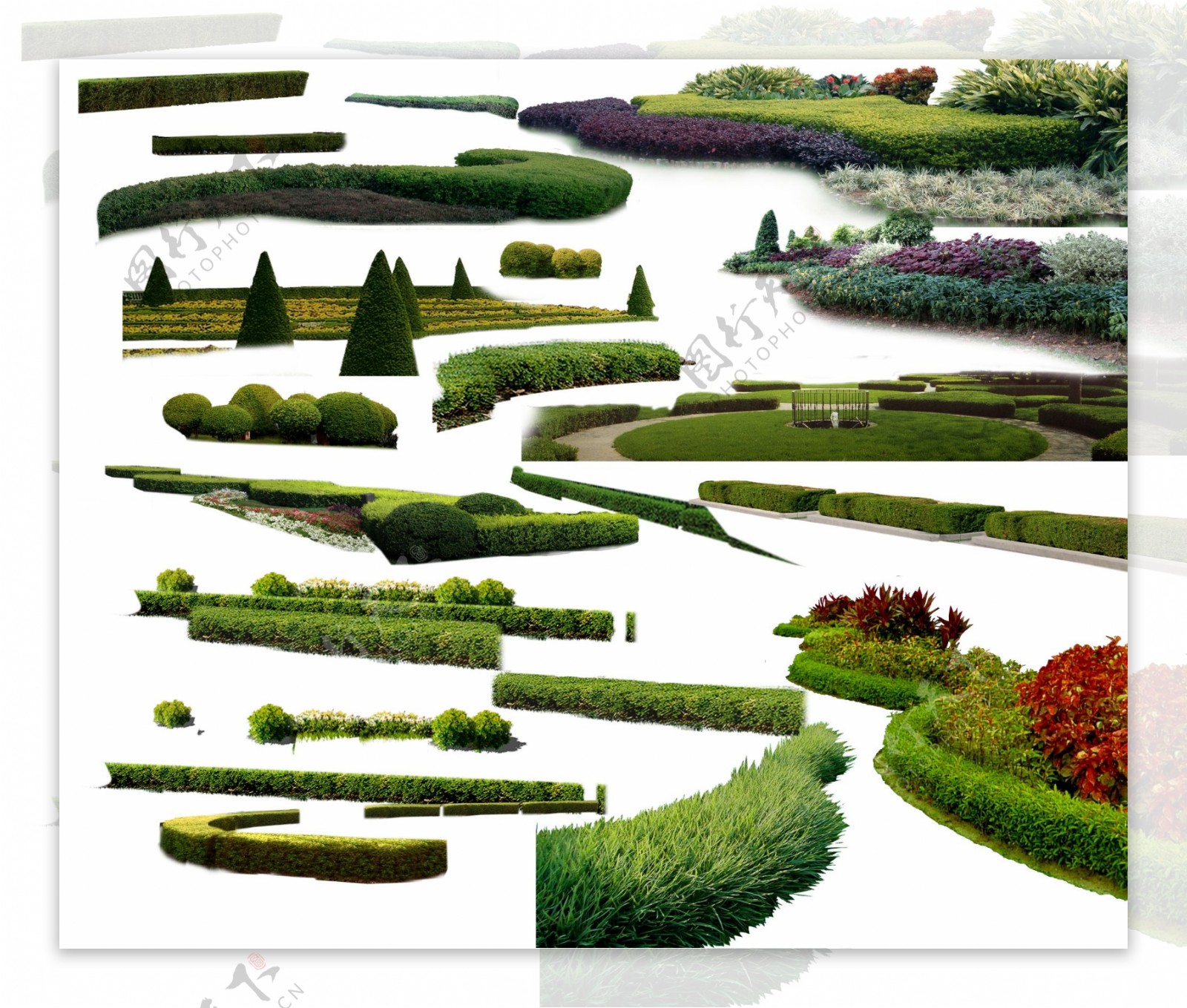 各种绿篱素材图片