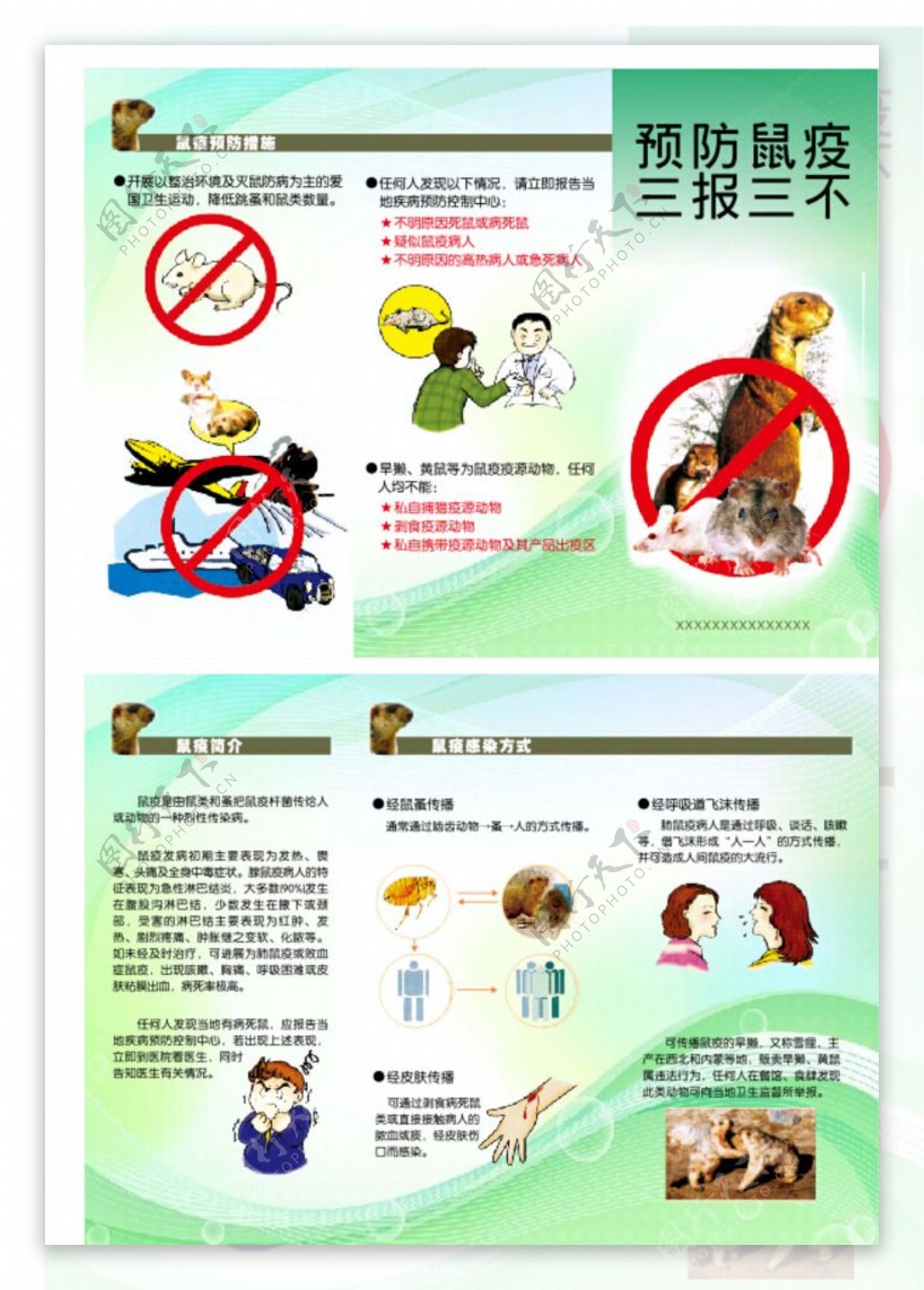 预防鼠疫三折页图片