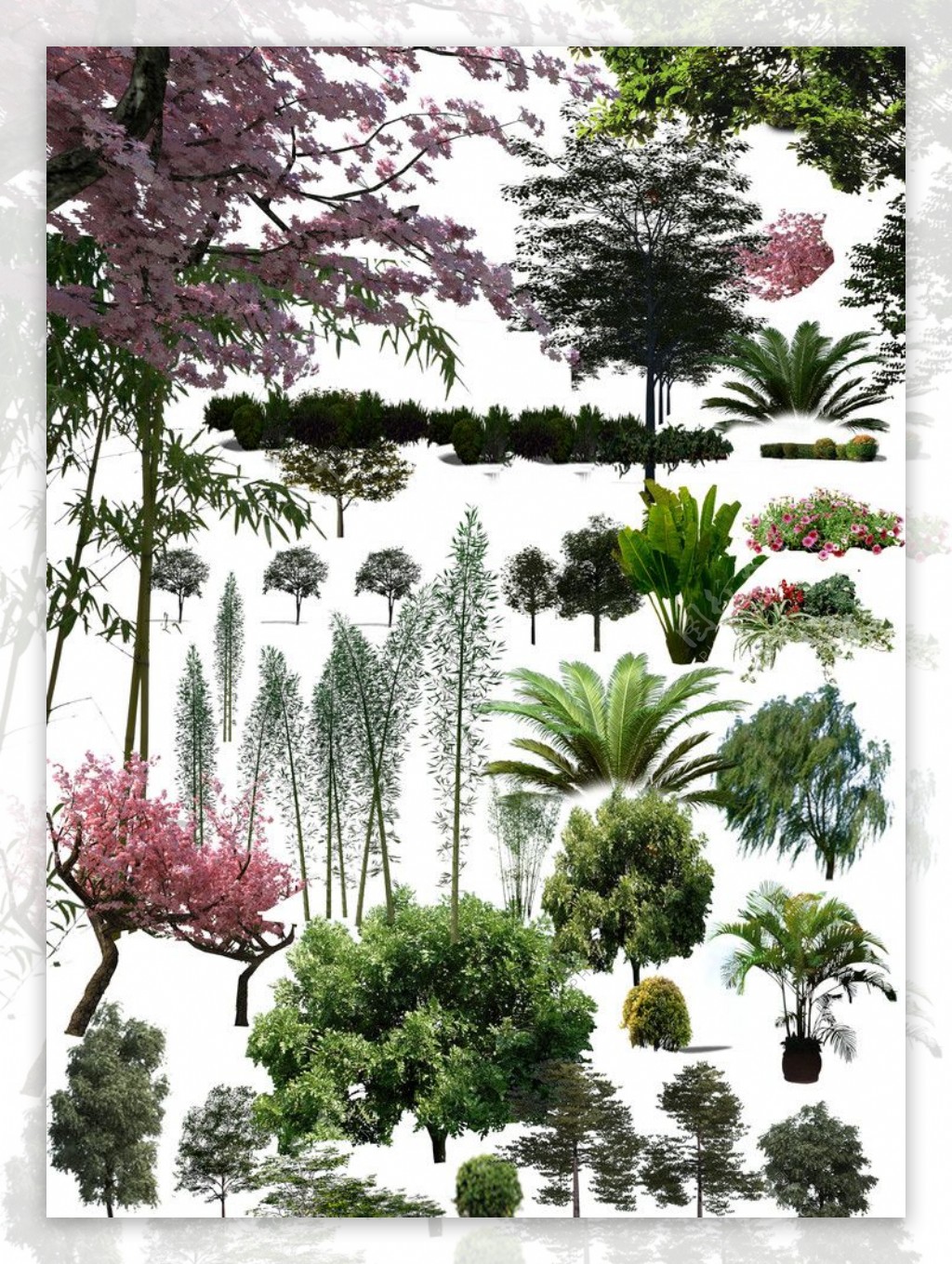 树植物素材图片