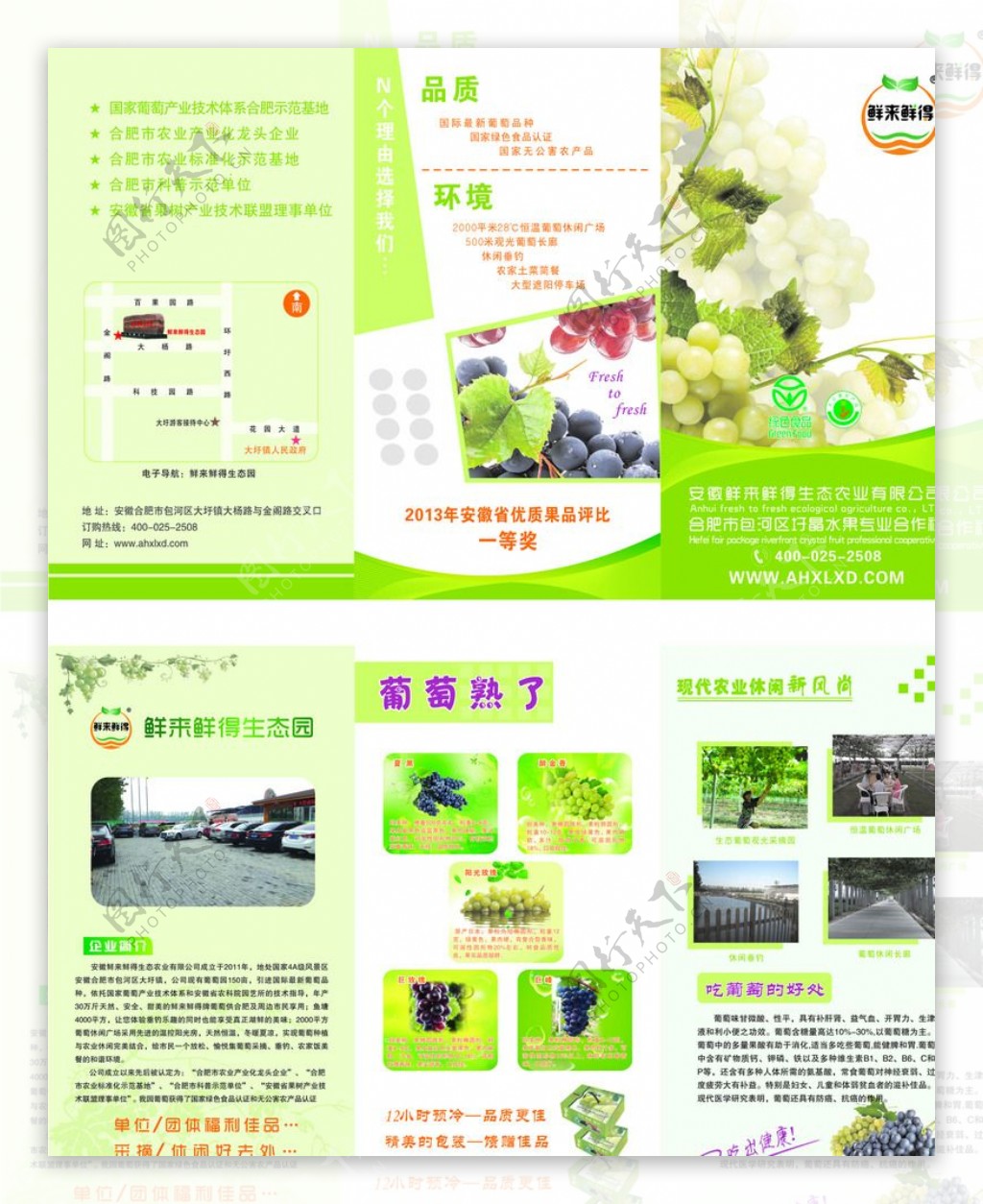 葡萄产业园折页图片