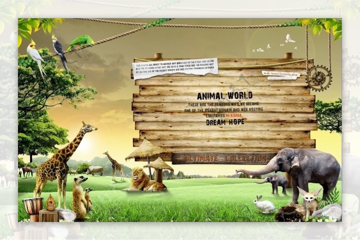 野生动物世界图片