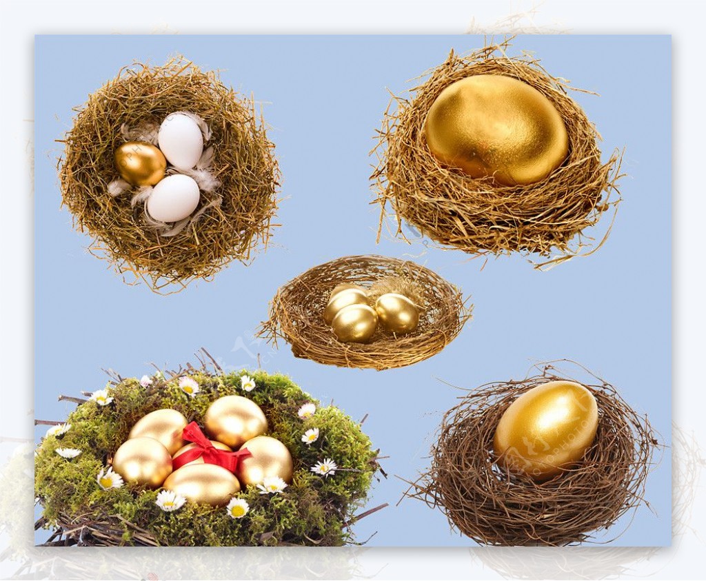 黄金蛋巢高清分层图图片