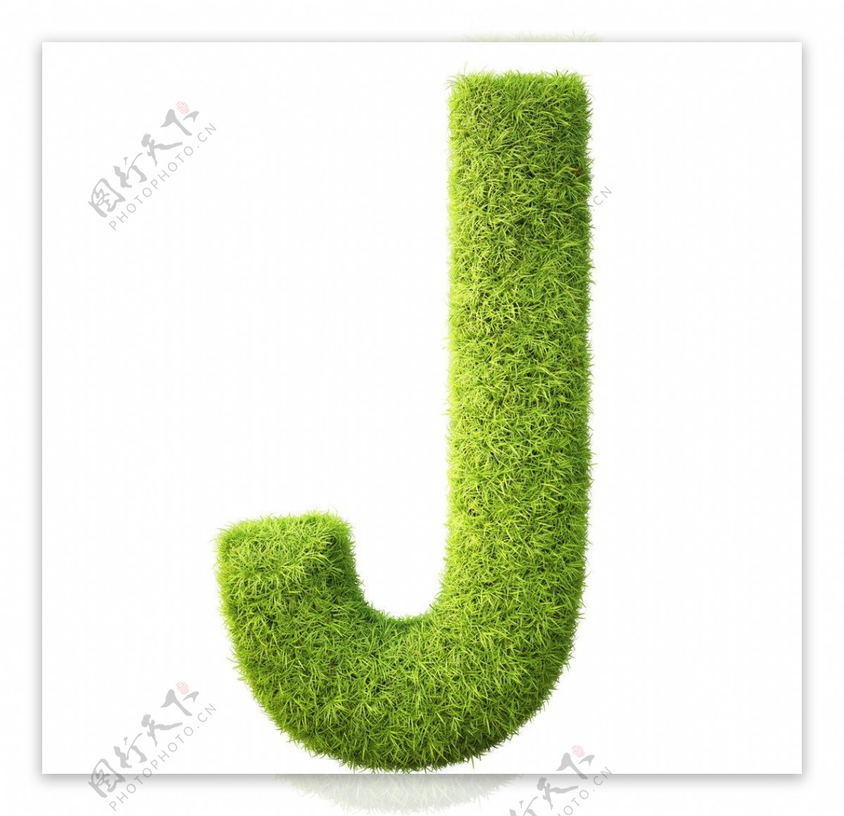 绿草字母图片