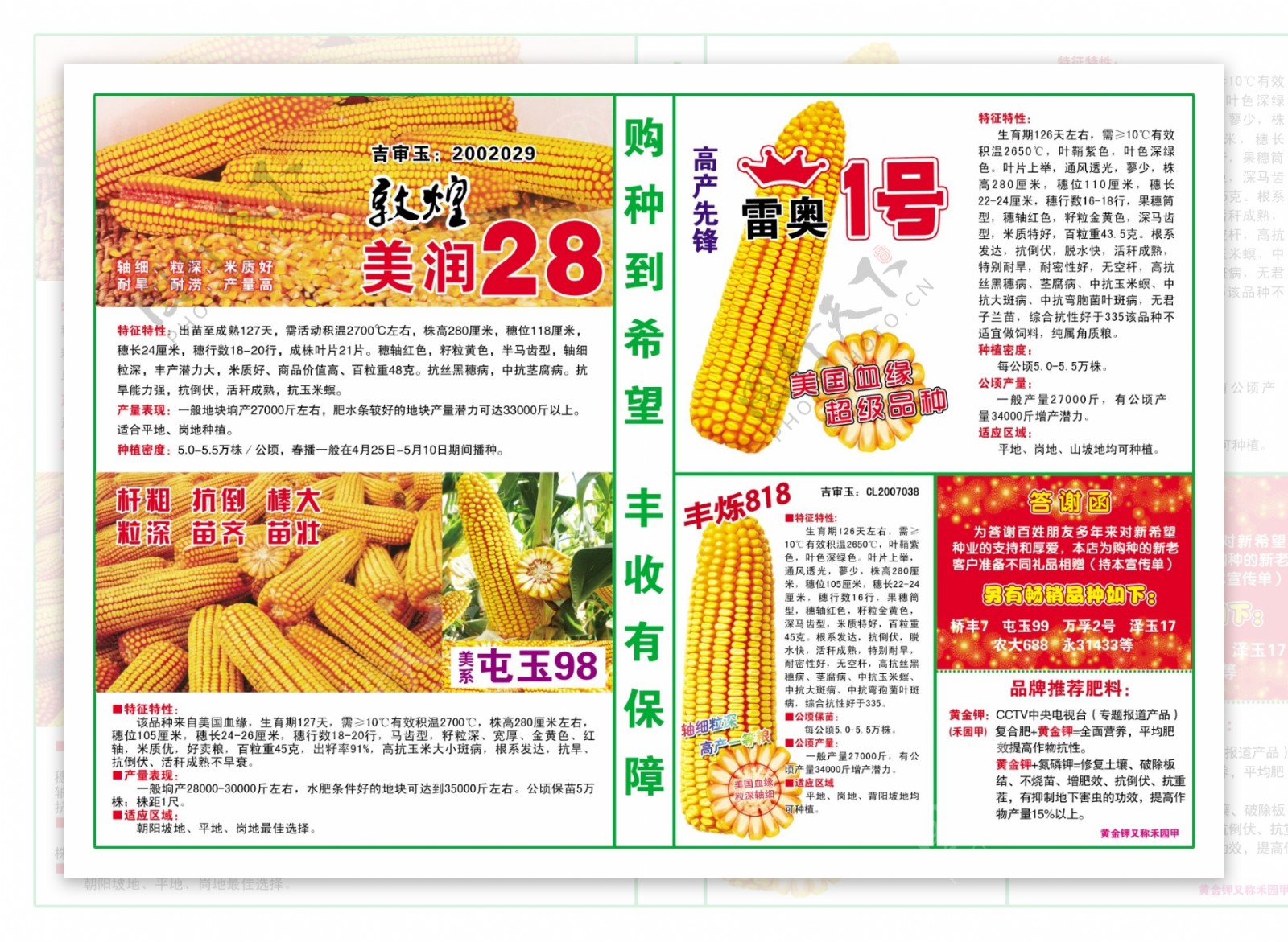 玉米农资宣传单图片