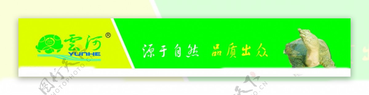 清江鳖业标志图片