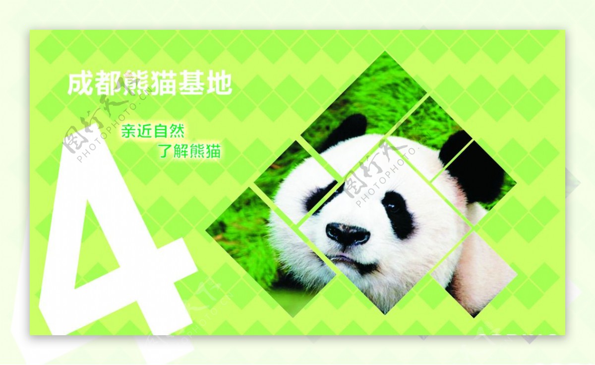 成都熊猫基地图片
