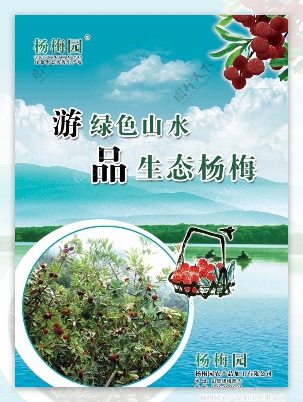 杨梅广告图片
