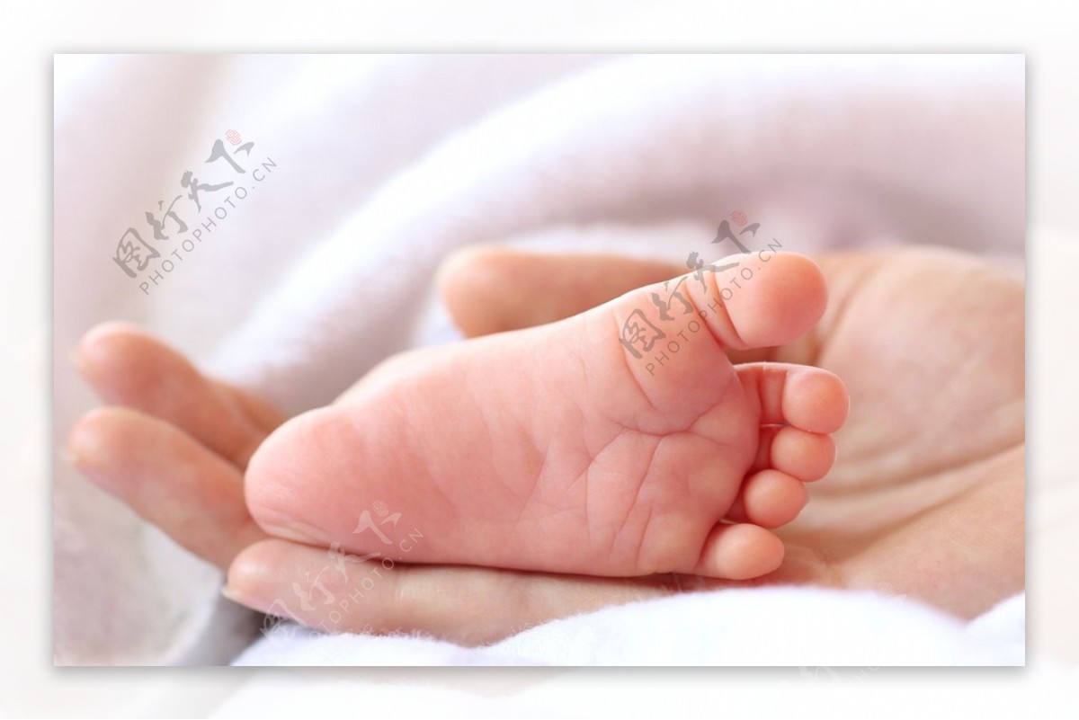 宝宝的脚 婴儿 休息 - Pixabay上的免费照片