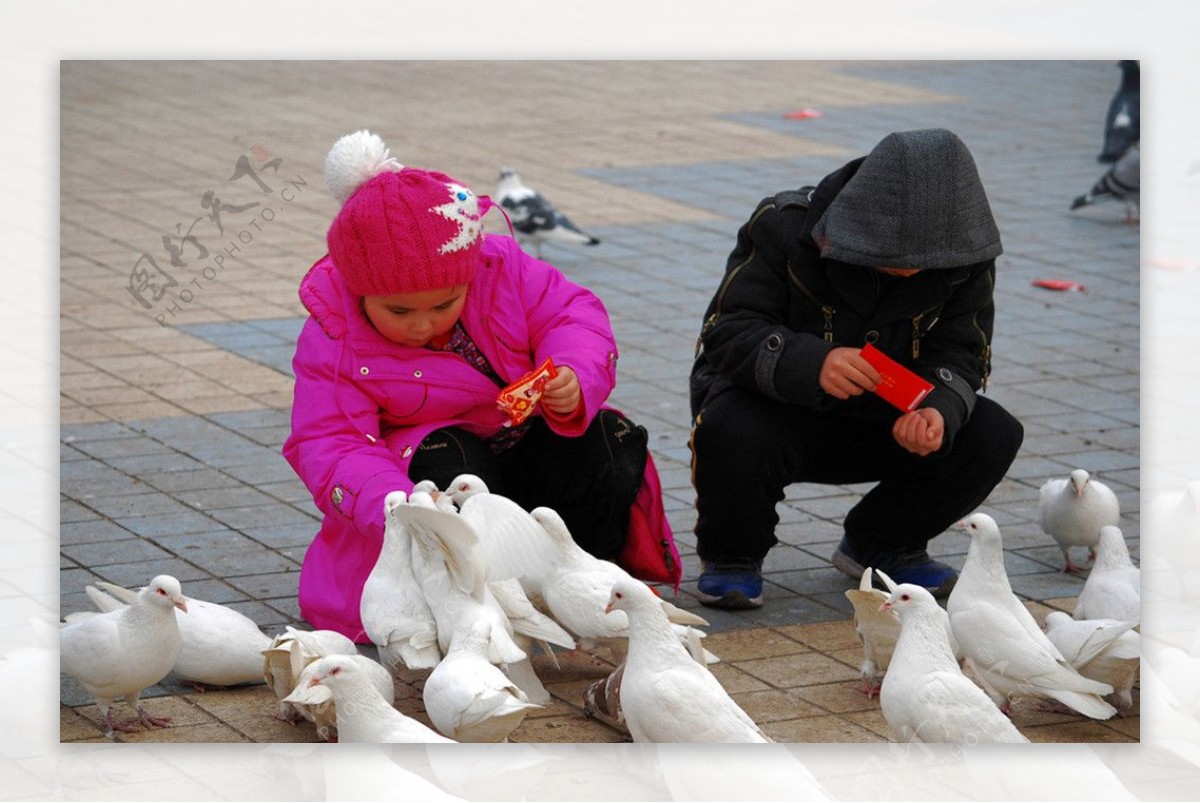 小孩喂鸽子图片