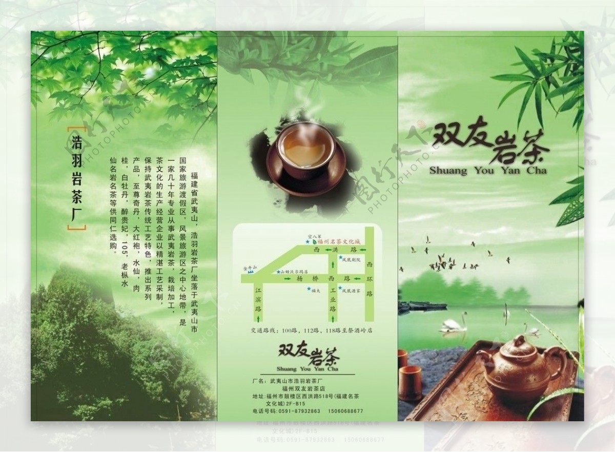 岩茶茶叶图片