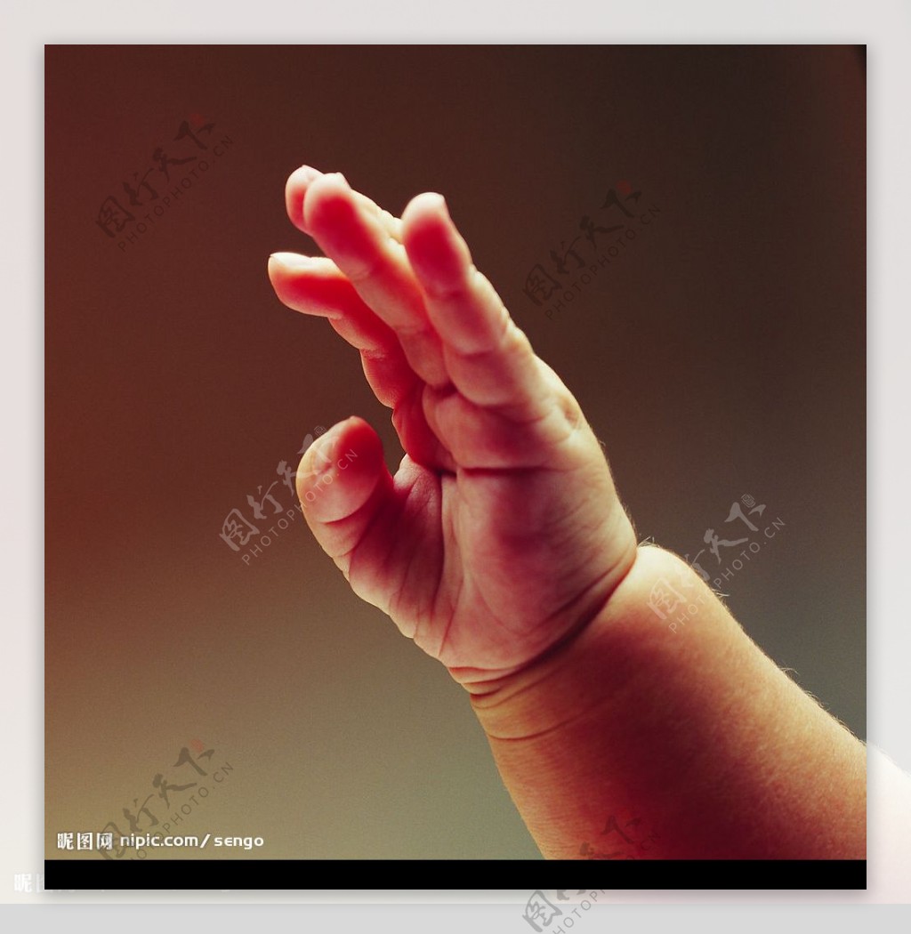 婴儿的手图片